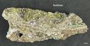 Aurichalcite_On_Cuprian_Smithsonite_Crystals_79_Mine_Arizona.jpg